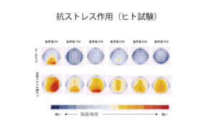 抗ストレス作用